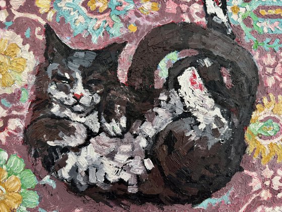 Black cat at the carpet