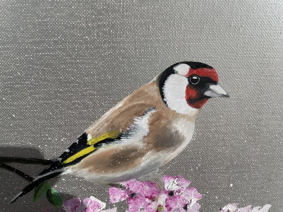 Goldfinch on Cherry Blossom
