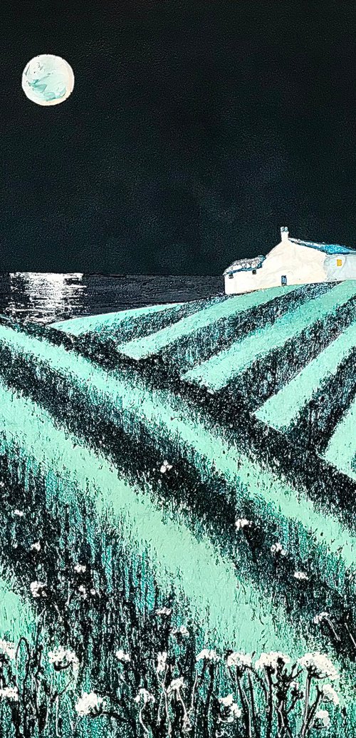 Reaper's Moon by Jackie Ward