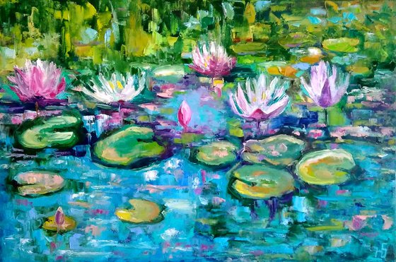 Water Lily Pond