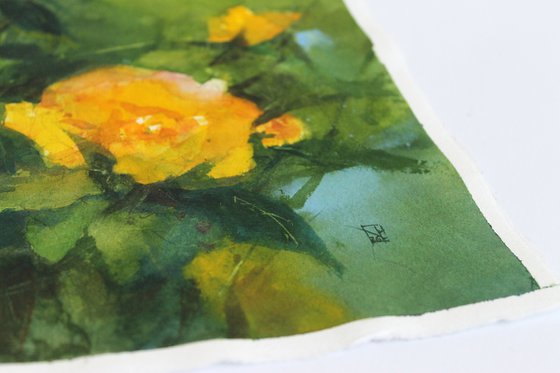 Summer Breath of Yellow Blooms