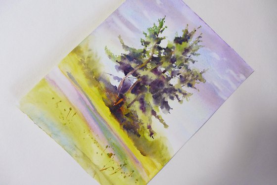 Lush pine trees in watercolor, Evergreen nature