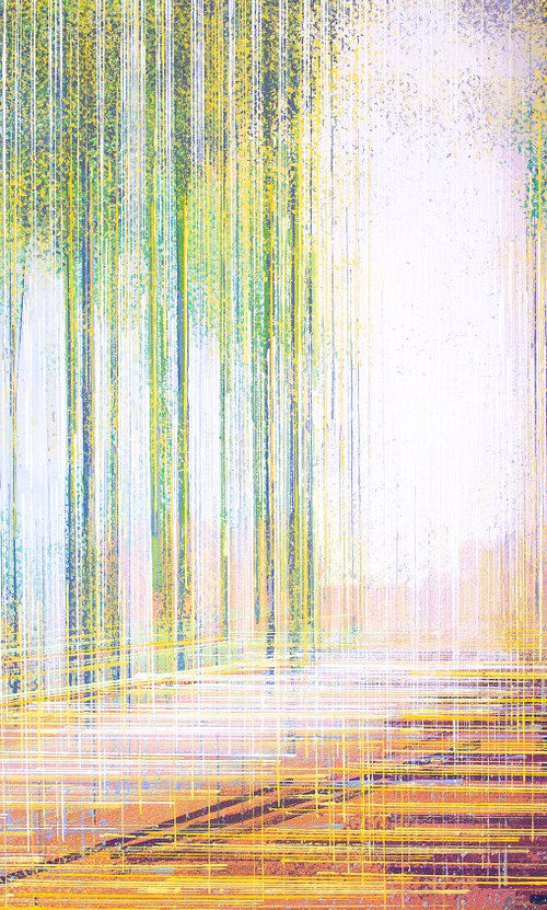 Trees In Summer Light by Marc Todd