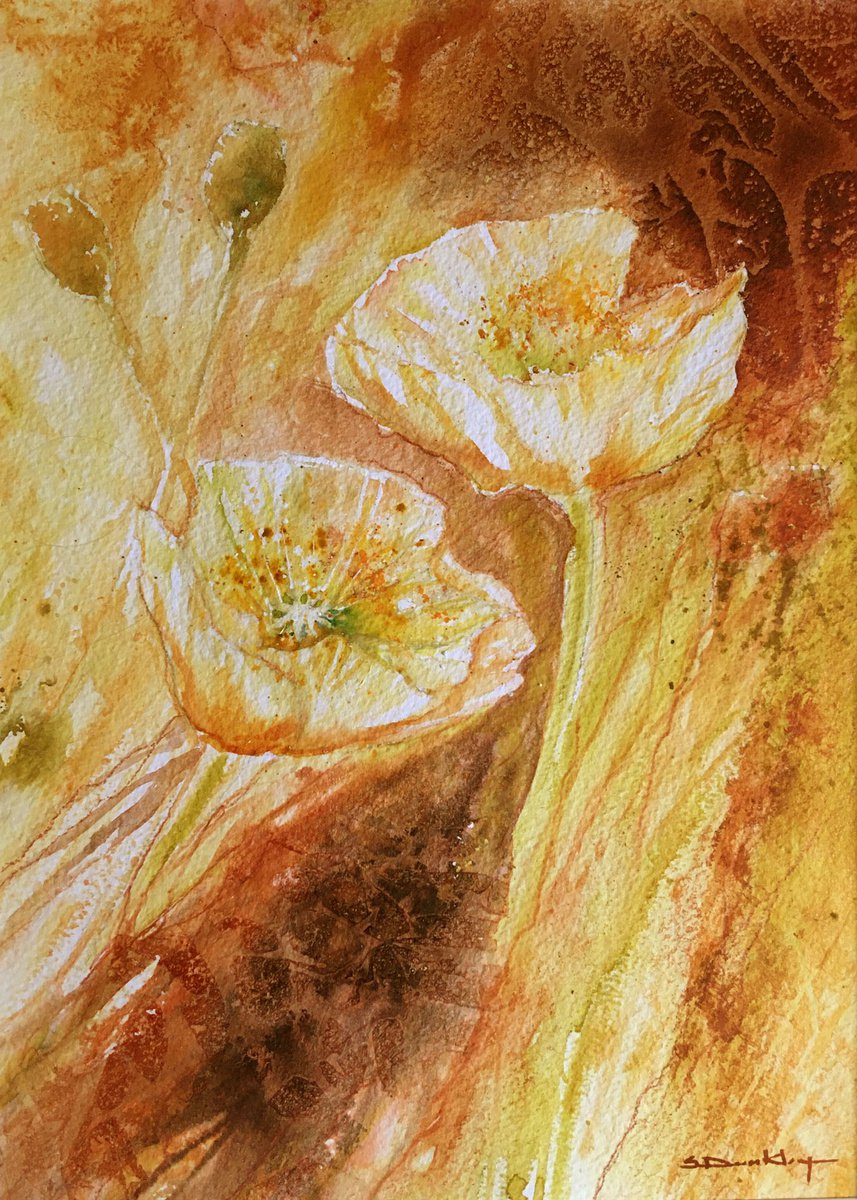 Golden Poppies by Stella Dunkley