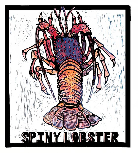 Spiny Lobster Colored