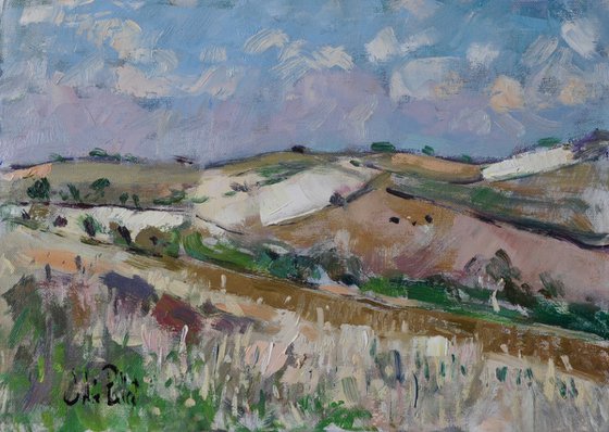 The Downs nearr Findon