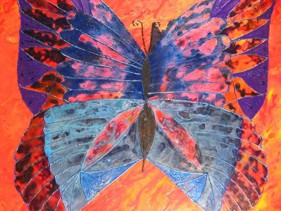 Vibrant butterfly