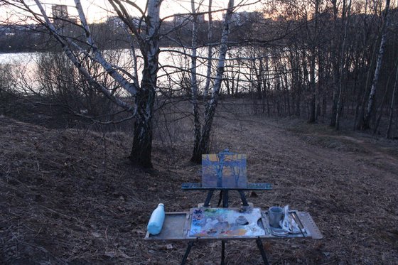 April. Birch sunset
