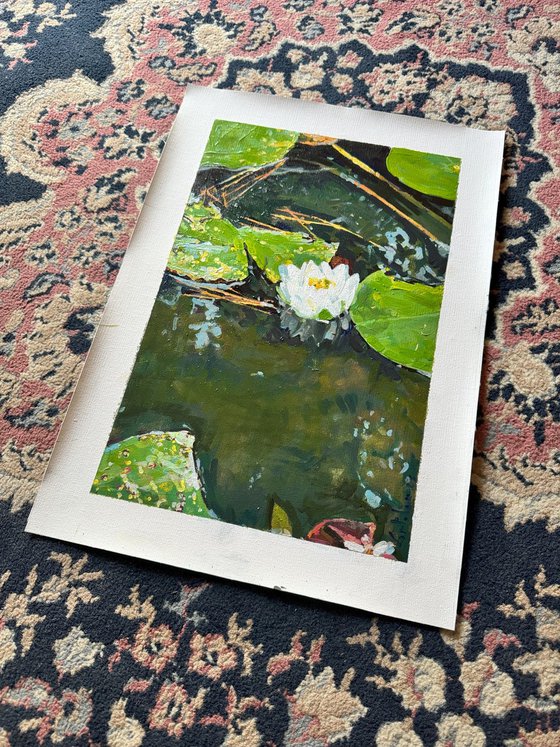 Waterlilies