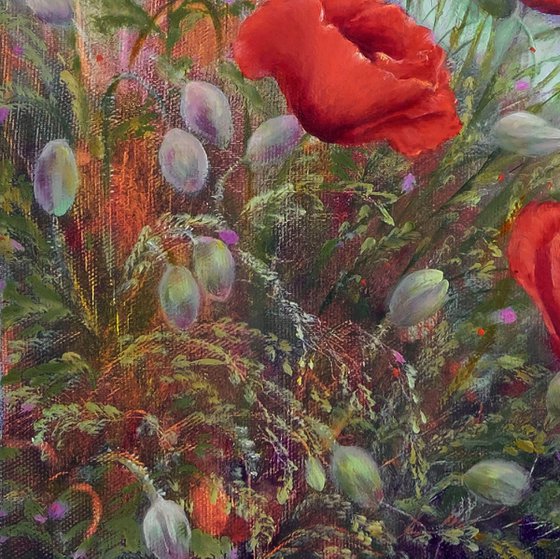 Poppies with wild flowers.