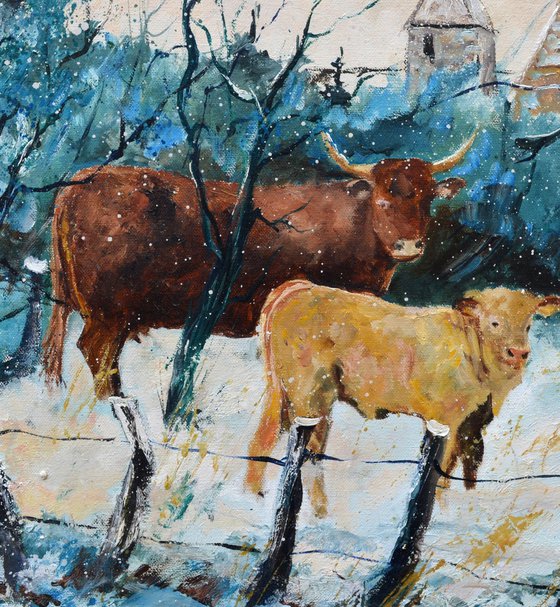 Cows in the snow