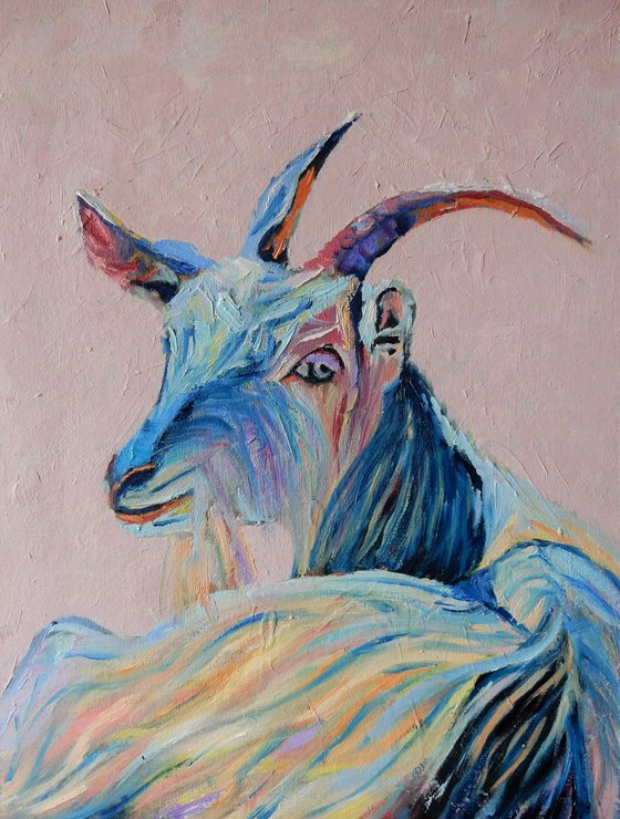 Rainbow goat