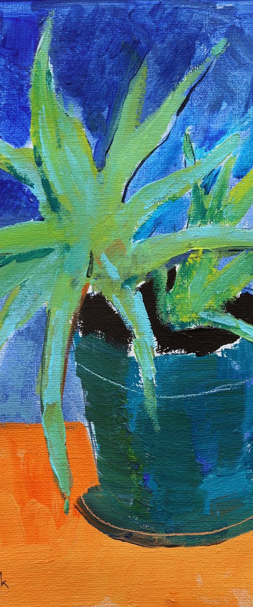 Aloe Vera by Artem Andreichuk