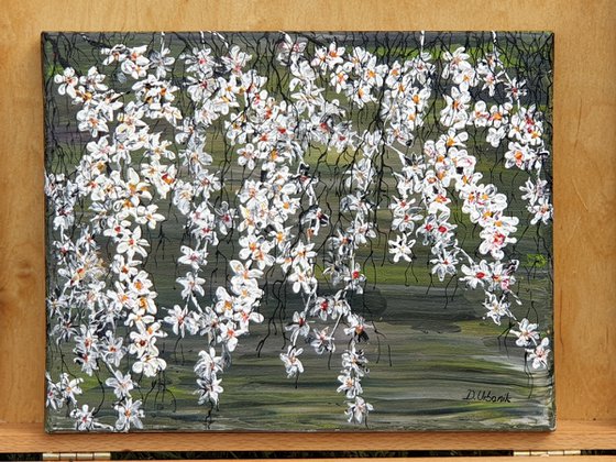 White Cherries 1