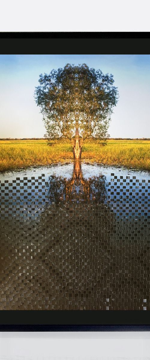 Woven family tree still waters by Jennifer Bell