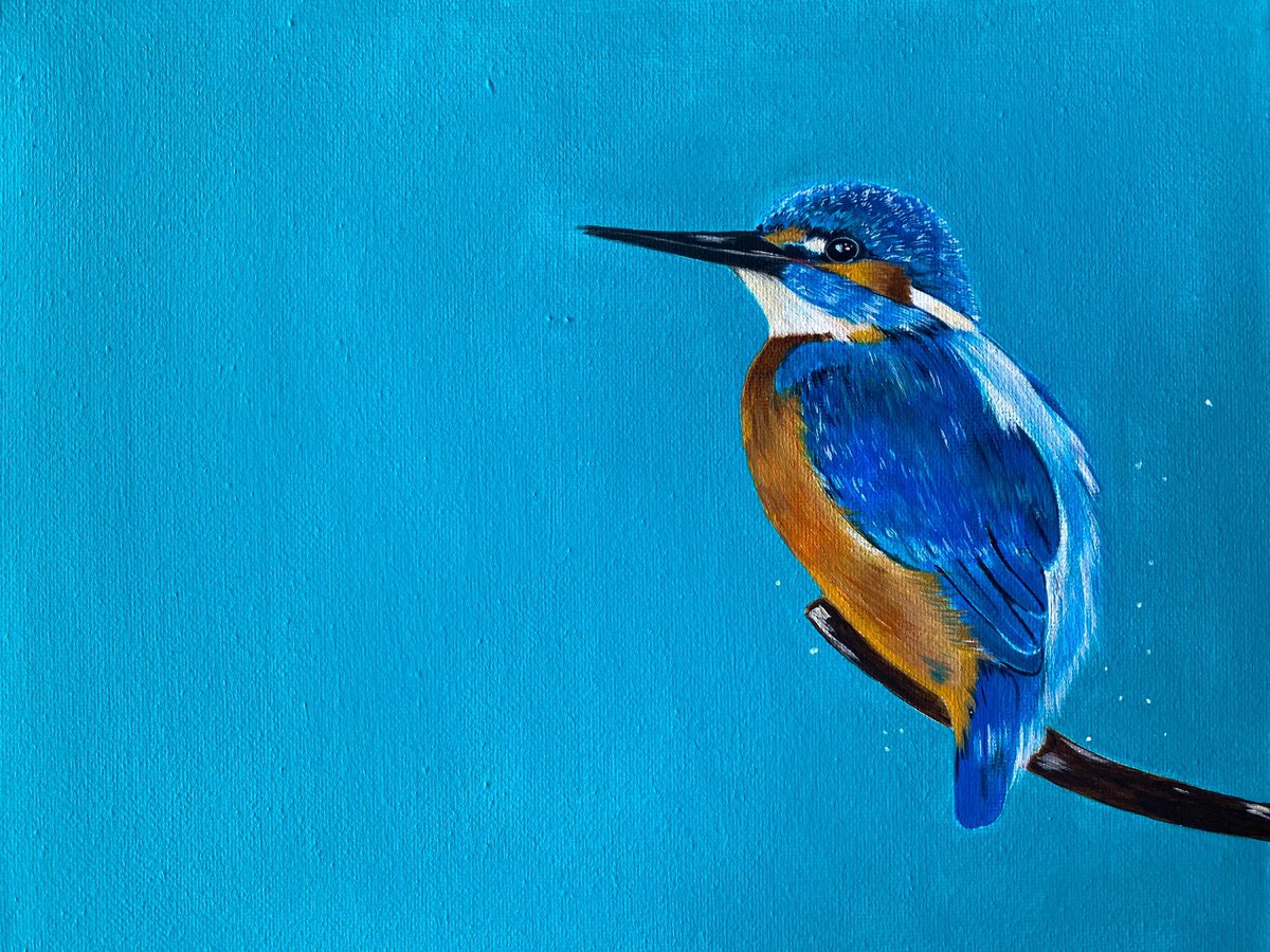 Kingfisher on blue acrylic painting by Bethany Taylor