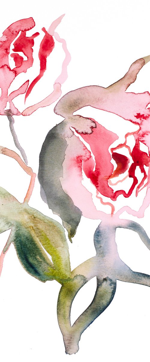 Rose Study No. 56 by Elizabeth Becker