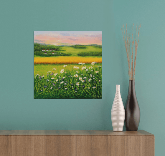 Daisy meadow landscape