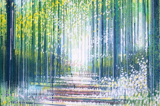 Summer Woodland Path