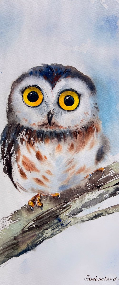 Little owl on a branch #14 by Eugenia Gorbacheva