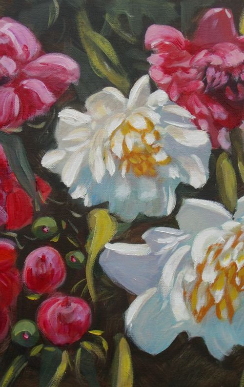 Peonies4 by Elena Sokolova