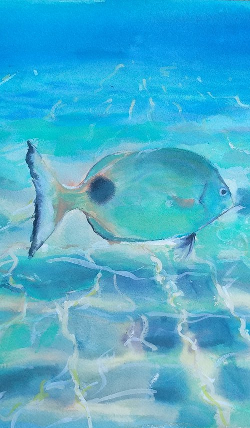 Sea shore fish by Marina Del Pozo