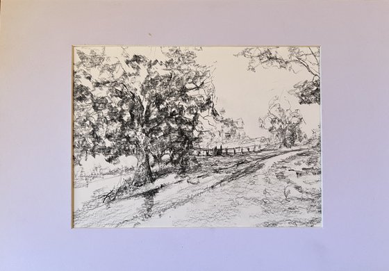 The Quiet Path
