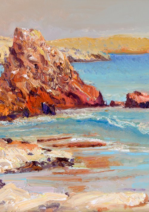 Red Rocks on Pacific Ocean by Suren Nersisyan