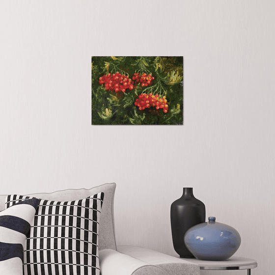 Red Viburnum