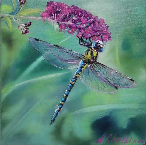 Dragonfly In A Meadow Flowers by Natalia Shaykina