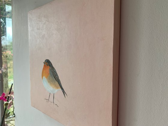 Contentment ~ Robin on Rose Gold