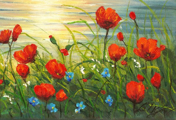 Poppies by sea