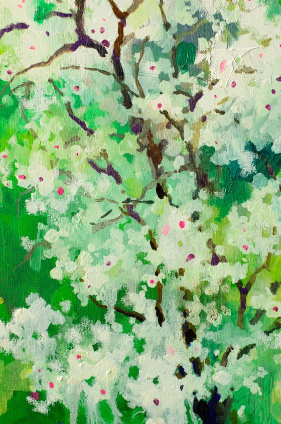 Whispers of Blossom Light