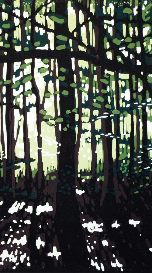 Summer Colour at Stoke Wood by Alexandra Buckle