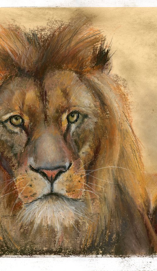 Lion - Original Pastel Drawing by Olga Tchefranov (Shefranov)
