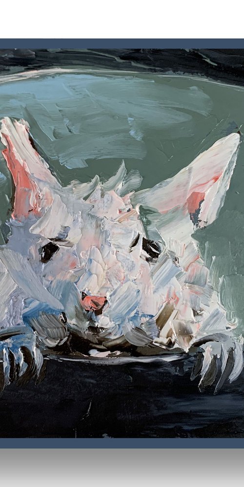 Little white mouse hiding in a bowl. by Vita Schagen