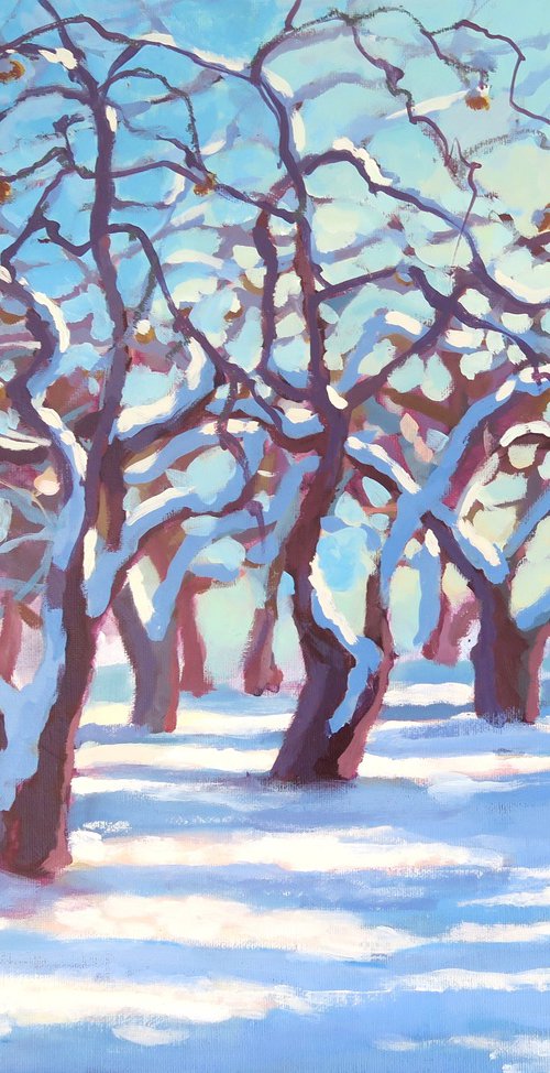 Winter Orchard by Diana Davydova