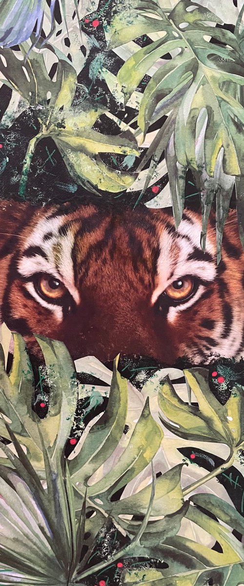 The Eye of a Tiger by Ben De Soto