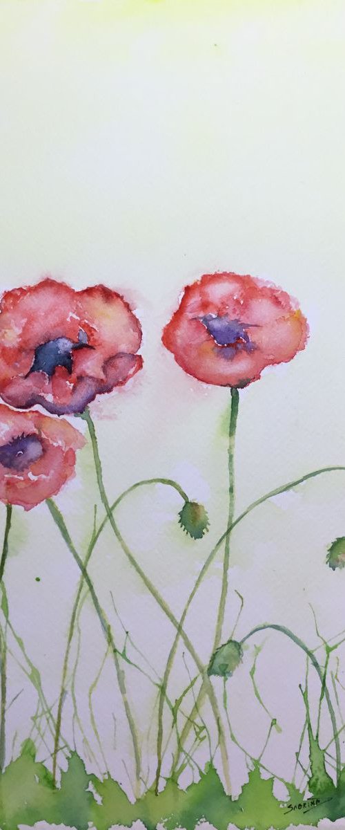 Poppies #2 by Sabrina’s Art