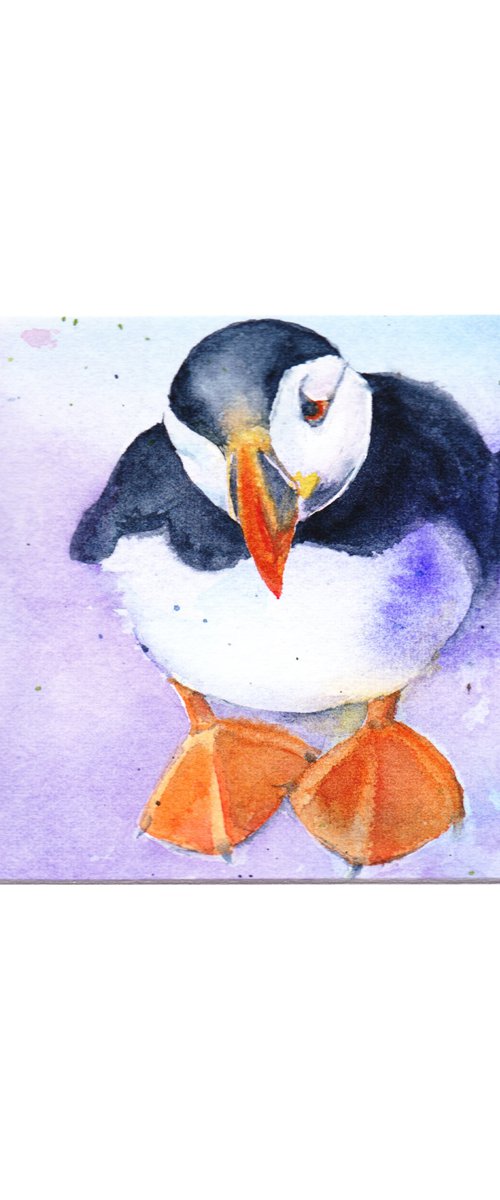 Puffin by Anjana Cawdell