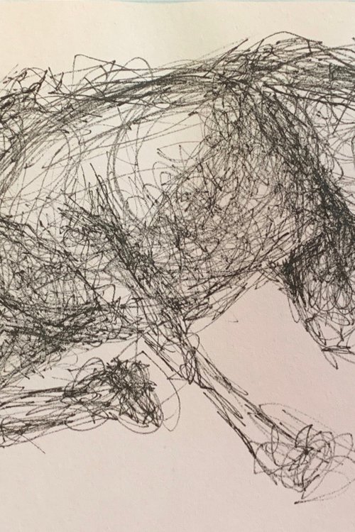 Horse Stumbles In Ink 6x9 I... by Ryan  Louder