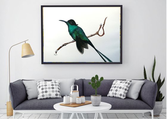 Hummingbird - watercolour painting