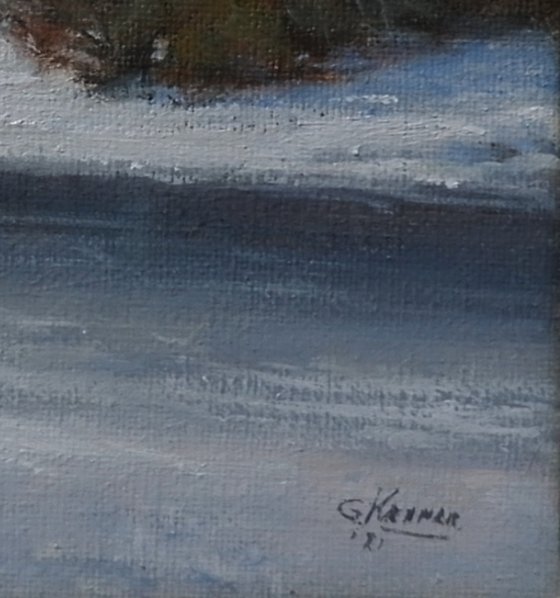 Winter landscape