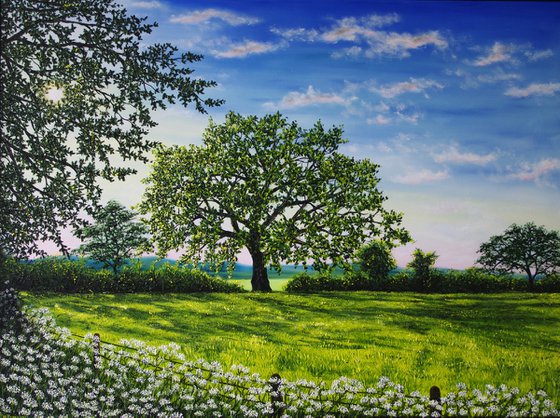 A Summer Morning