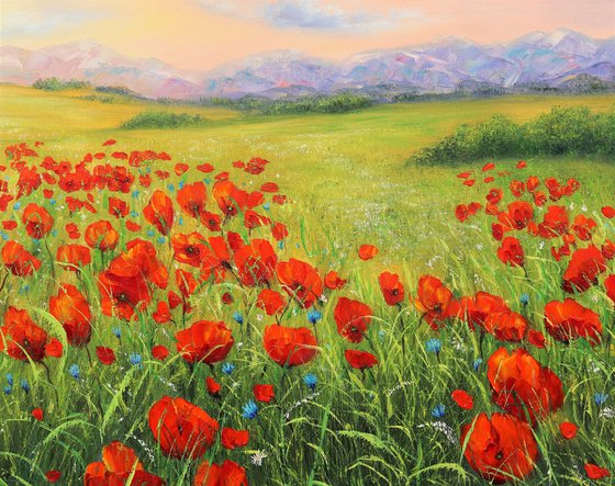 Poppy field in summer 4