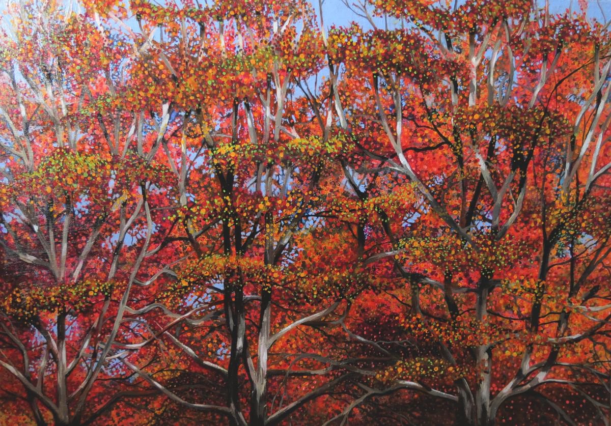 Autumn Trees by Roz Edwards