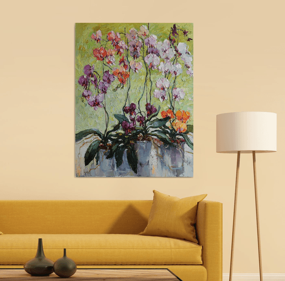 Colorful Orchids