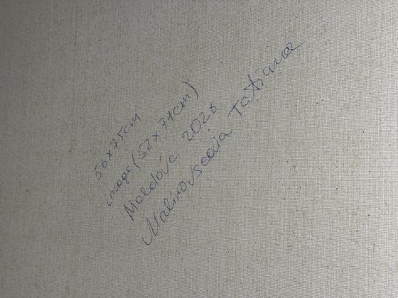 Where Light Divides the Earth set