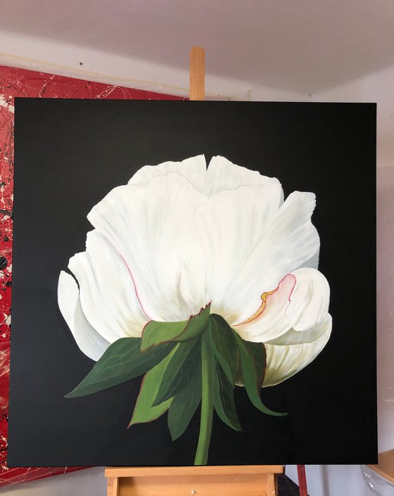 White Peony on black