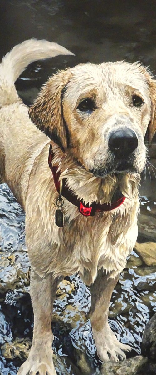 Throw it....Yellow Labrador by Julian Wheat